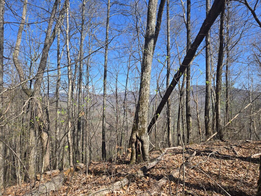 Photo of 0000 Brasstown Road, Cullowhee, NC 28723 (MLS # 26048551)