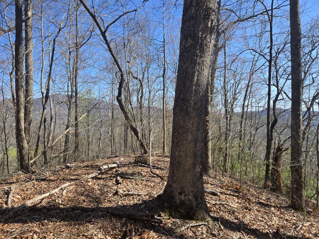 Photo of 0000 Brasstown Road, Cullowhee, NC 28723 (MLS # 26048551)