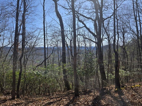 Photo of 0000 Brasstown Road, Cullowhee, NC 28723 (MLS # 26048551)