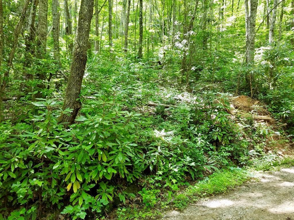 Photo of Lot 105 Mountain Vista, Bryson City, NC 28713 (MLS # 26037974)