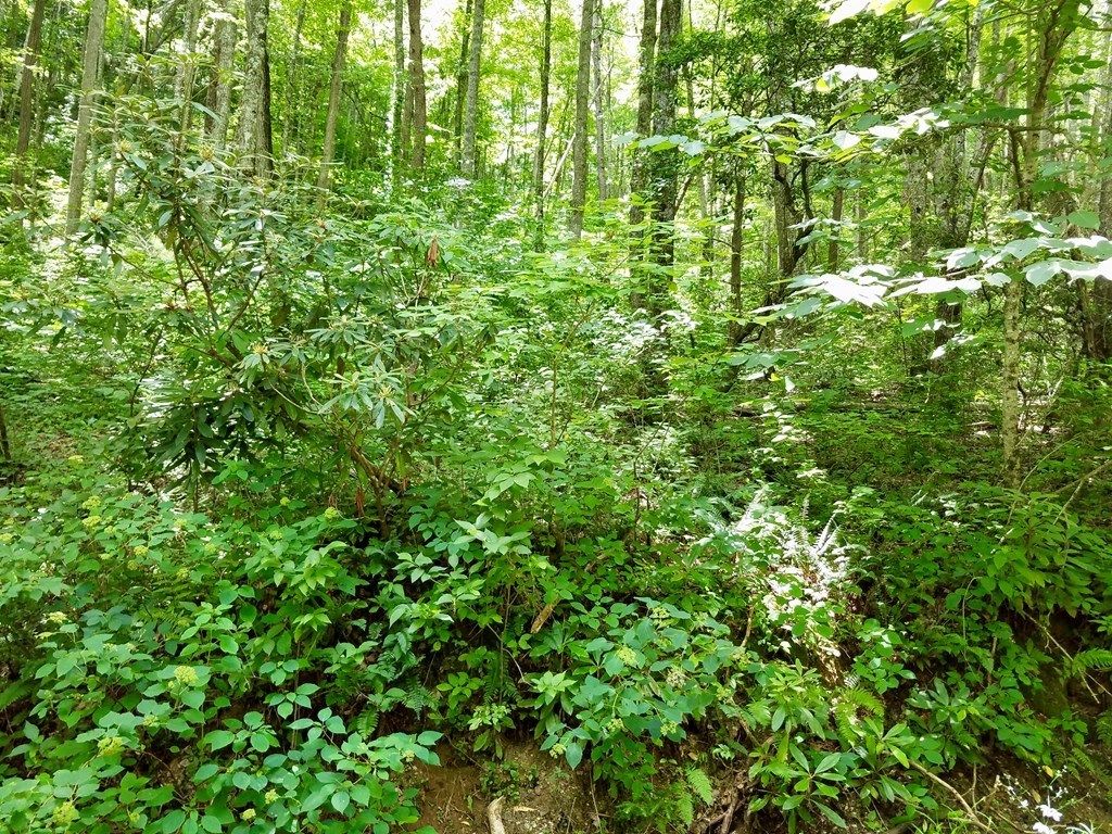 Photo of Lot 105 Mountain Vista, Bryson City, NC 28713 (MLS # 26037974)