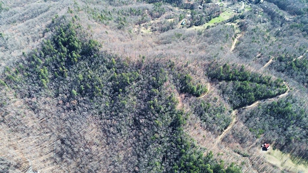 Photo of 000 Betts Branch Road, Bryson City, NC 28713 (MLS # 26046622)