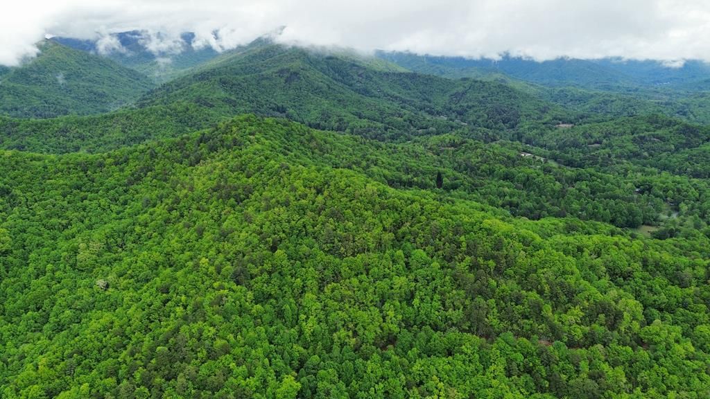 Photo of 000 Betts Branch Road, Bryson City, NC 28713 (MLS # 26046622)