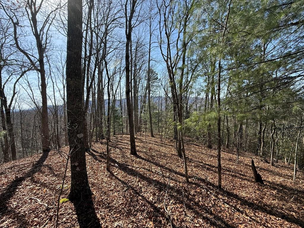 Photo of 000 Betts Branch Road, Bryson City, NC 28713 (MLS # 26046622)