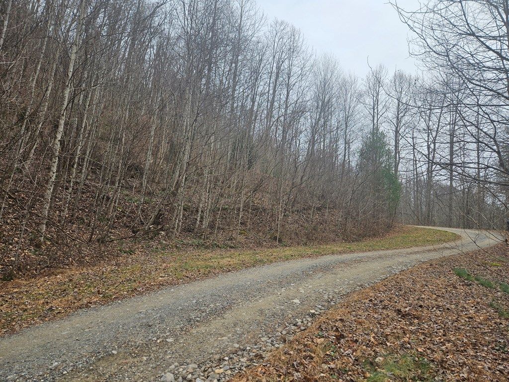 Photo of 000 Icicle Ridge, Sylva, NC 28779 (MLS # 26043153)
