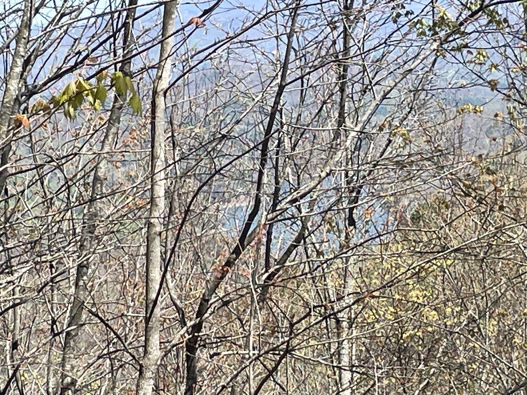Photo of Lot 13 Do Hi Trail, Almond, NC 28702 (MLS # 26040852)