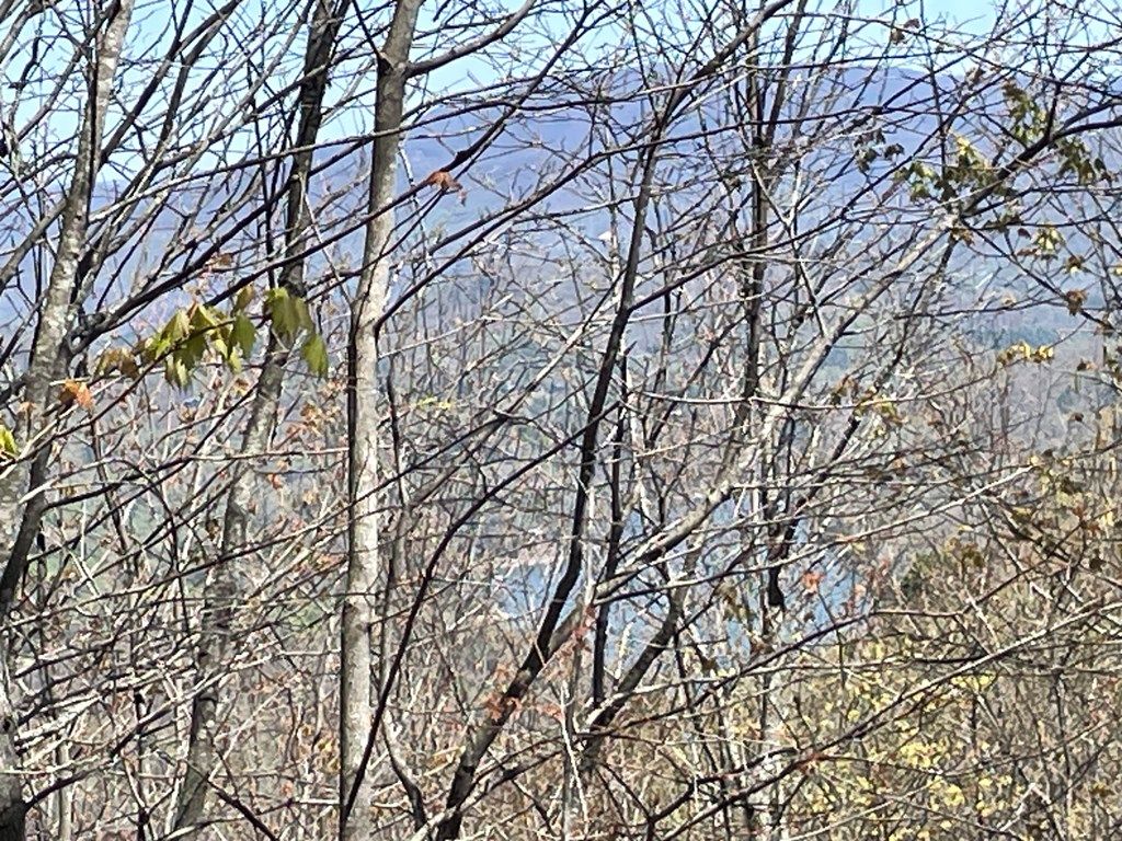 Photo of Lot 13 Do Hi Trail, Almond, NC 28702 (MLS # 26040852)