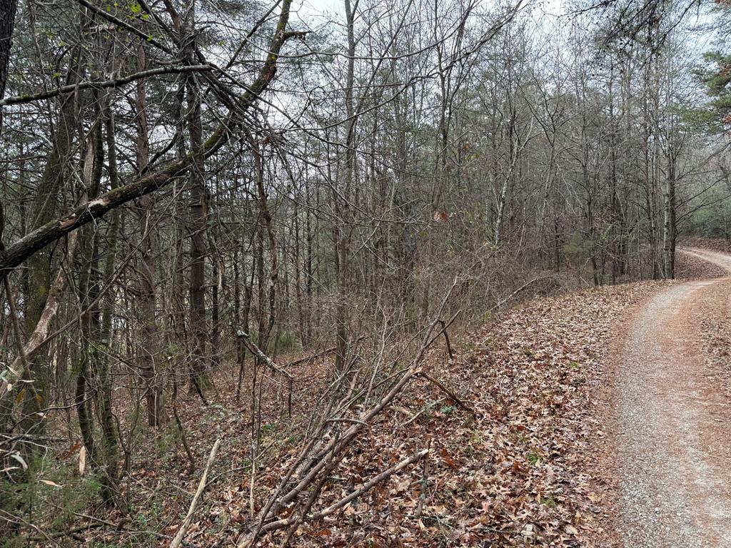Lot 28 Ideal Acres