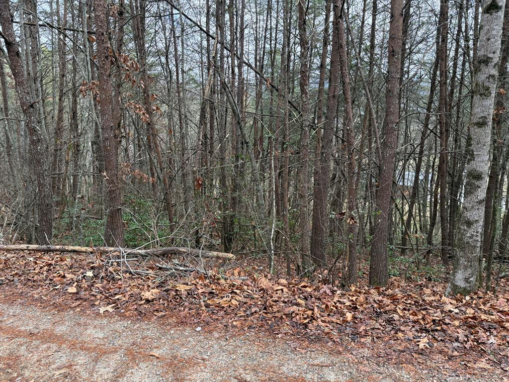 Lot 28 Ideal Acres