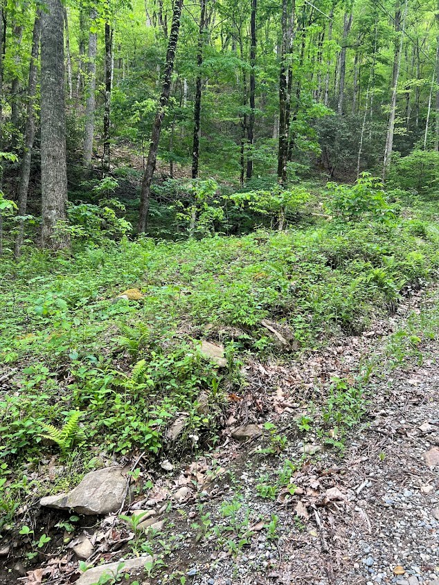 0 Bear Track Run