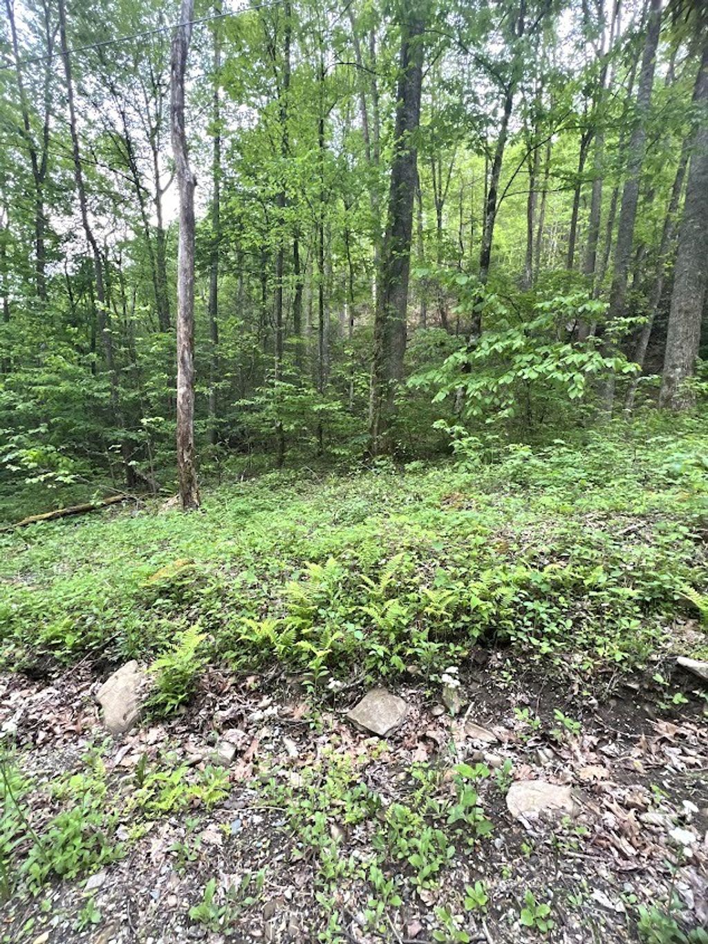 Photo of 0 Bear Track Run, Bryson City, NC 28713 (MLS # 26047179)