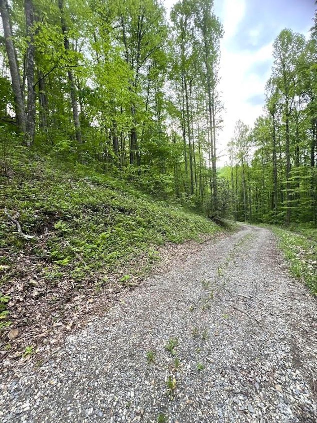 Photo of 0 Bear Track Run, Bryson City, NC 28713 (MLS # 26047179)