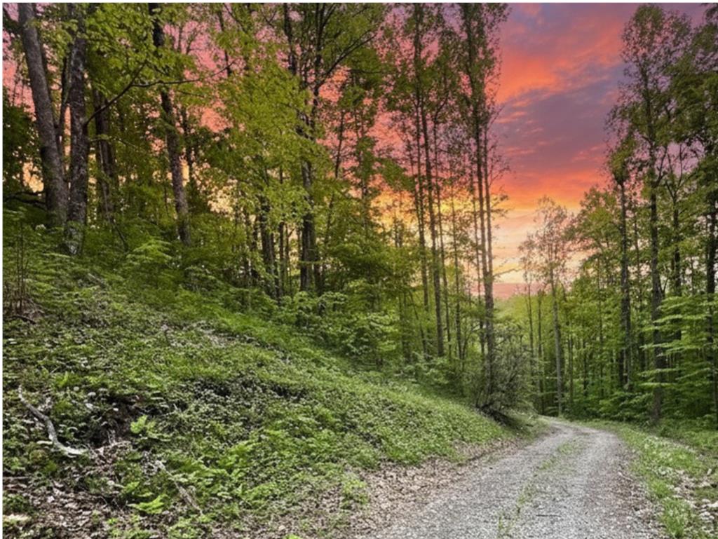 Photo of 0 Bear Track Run, Bryson City, NC 28713 (MLS # 26047179)