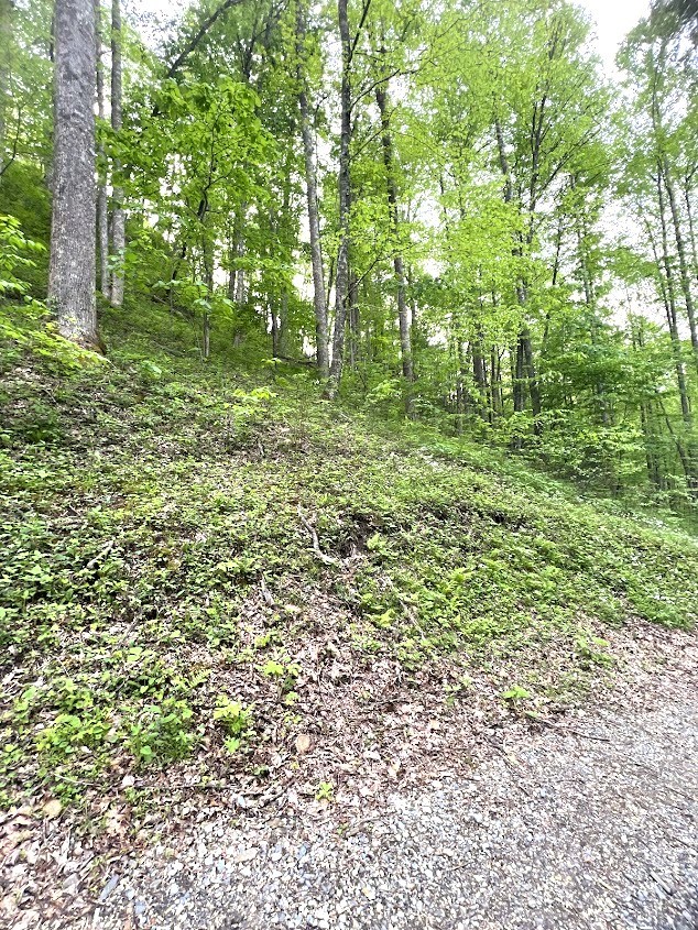 0 Bear Track Run