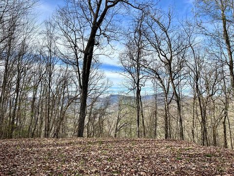Photo of Lot 53 Lyle Mountain Trail, Franklin, NC 28734 (MLS # 26047138)