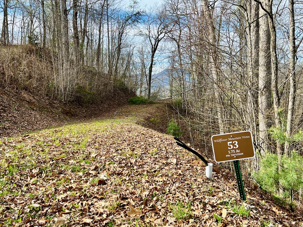 Lot 53 Lyle Mountain Trail
