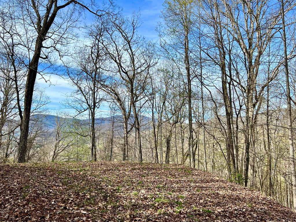 Lot 53 Lyle Mountain Trail