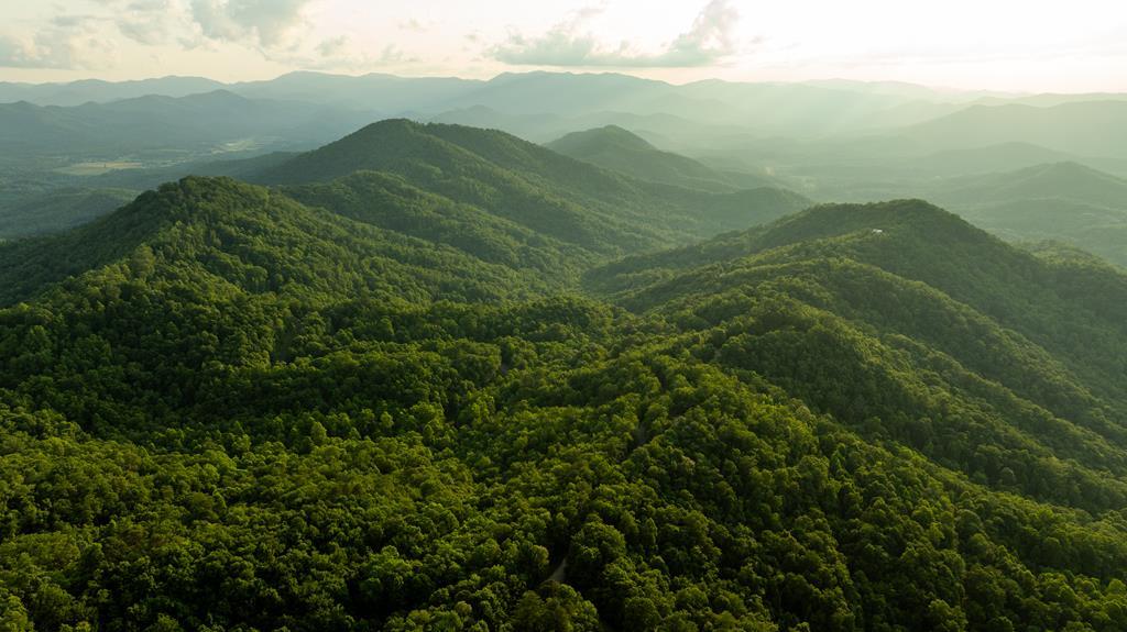 Lot 53 Lyle Mountain Trail