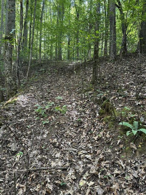 Photo of Lot 6 Brendle Rd, Franklin, NC 28734 (MLS # 26042211)