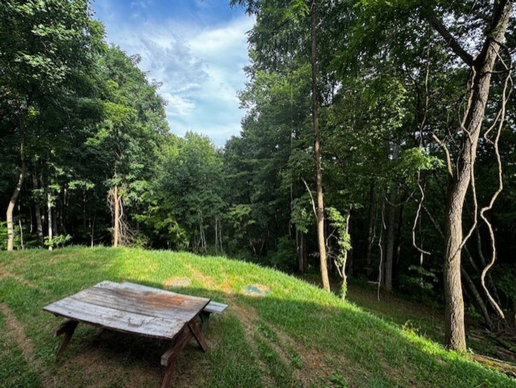 Photo of 2251 Union Hill Road, Whittier, NC 28789 (MLS # 26042342)