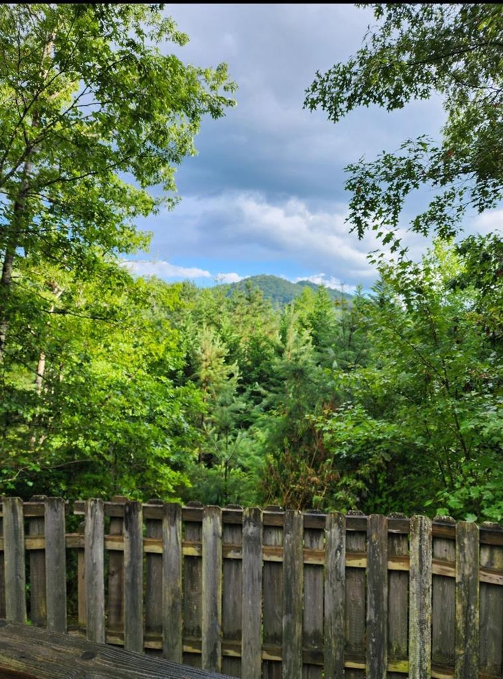 Photo of 197 Songcatcher Ln, Bryson City, NC 28713 (MLS # 26041491)