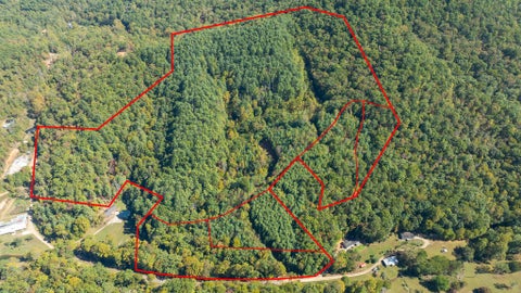 Photo of 00 Carson Cove Rd, Franklin, NC 28734 (MLS # 26048751)
