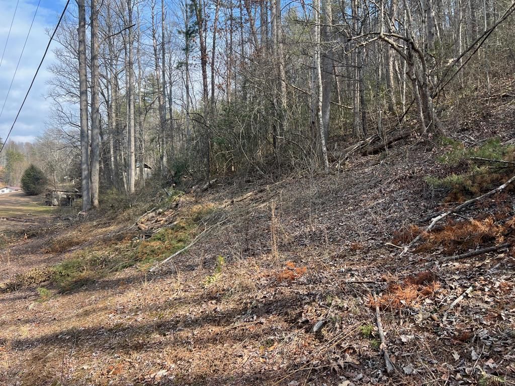 Photo of 0 Robinson Gap Road, Bryson City, NC 28713 (MLS # 26045283)
