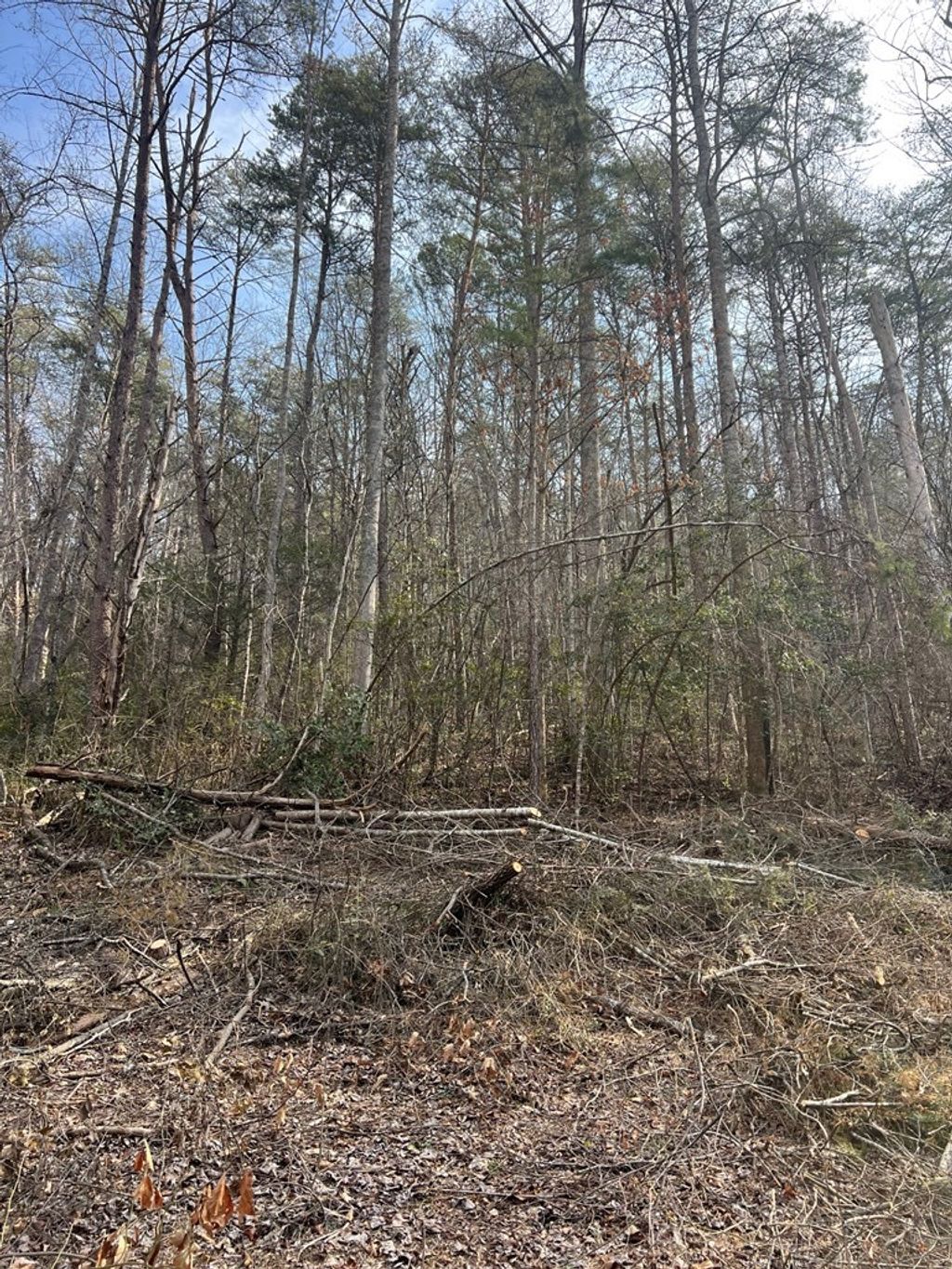 Photo of 0 Robinson Gap Road, Bryson City, NC 28713 (MLS # 26045283)