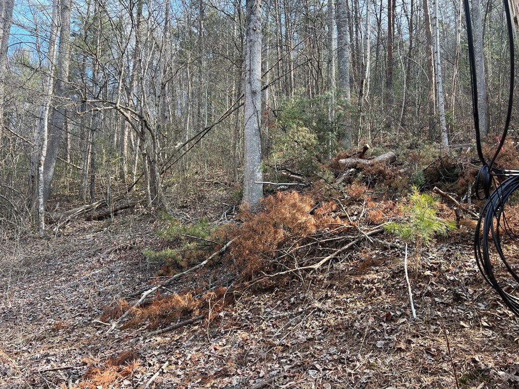 0 Robinson Gap Road