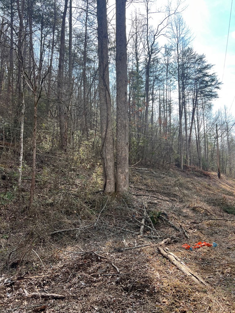 0 Robinson Gap Road