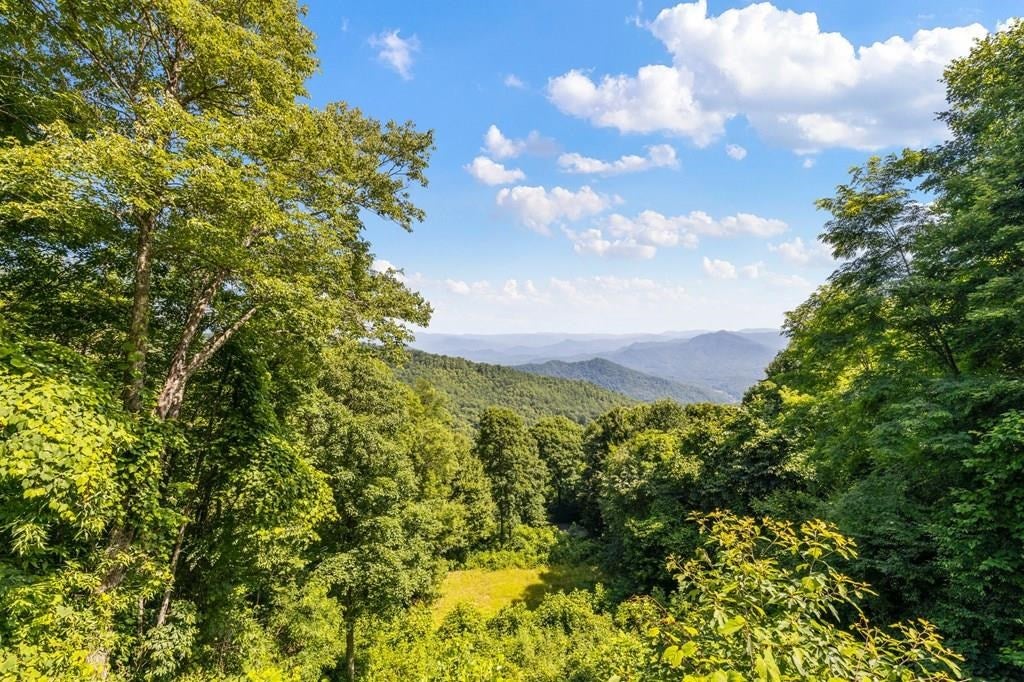 Photo of Lot 2 Hawks Ridge, Whittier, NC 28789 (MLS # 26048656)