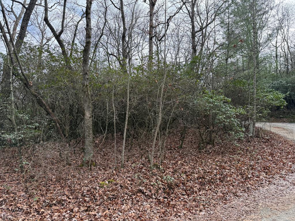 Lot 25 Ideal Acres