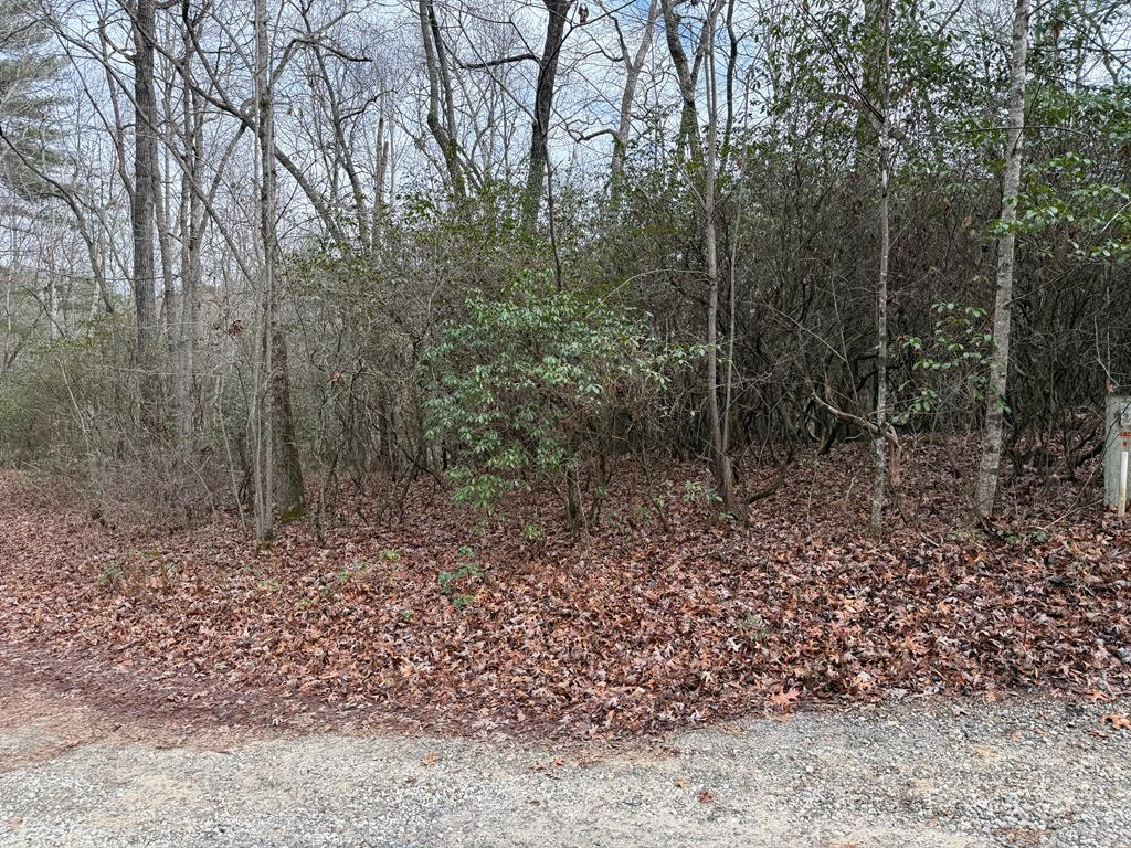 Lot 25 Ideal Acres