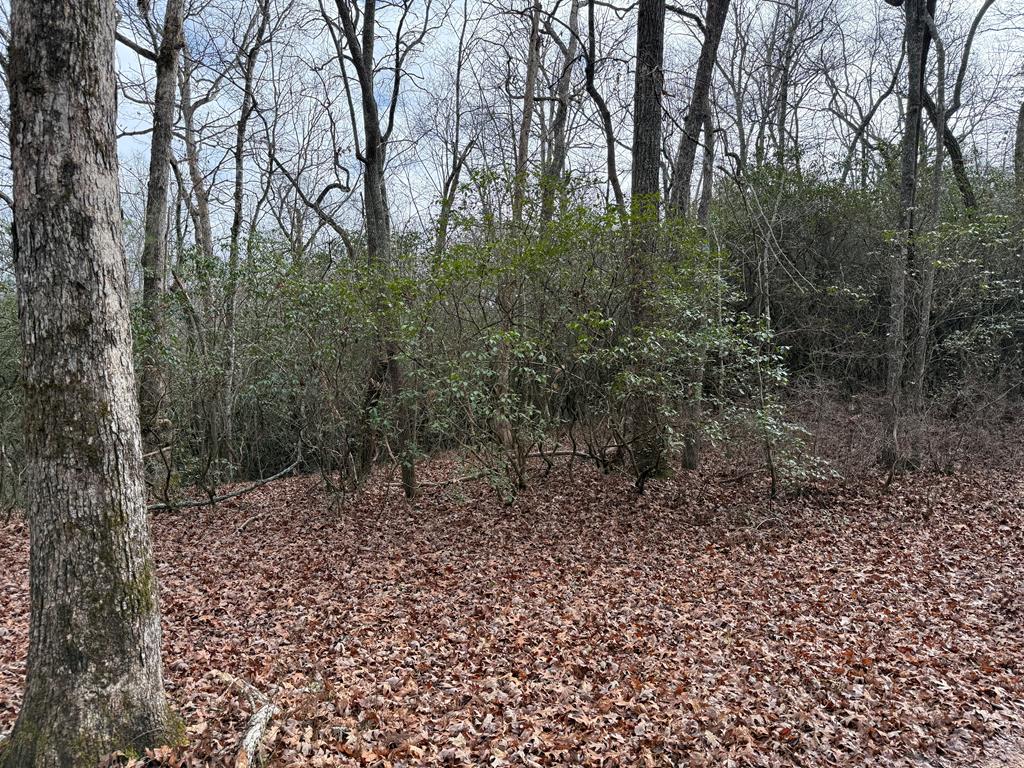 Lot 25 Ideal Acres