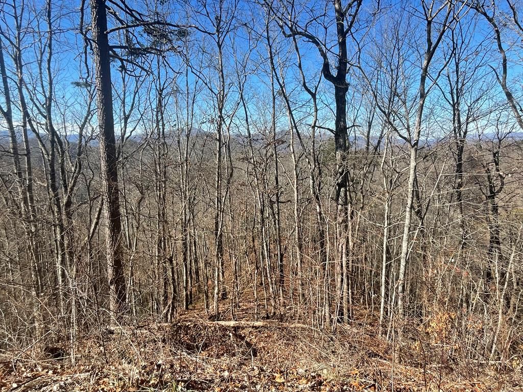 Photo of 0 White Oaks Road, Bryson City, NC 28713 (MLS # 26040457)