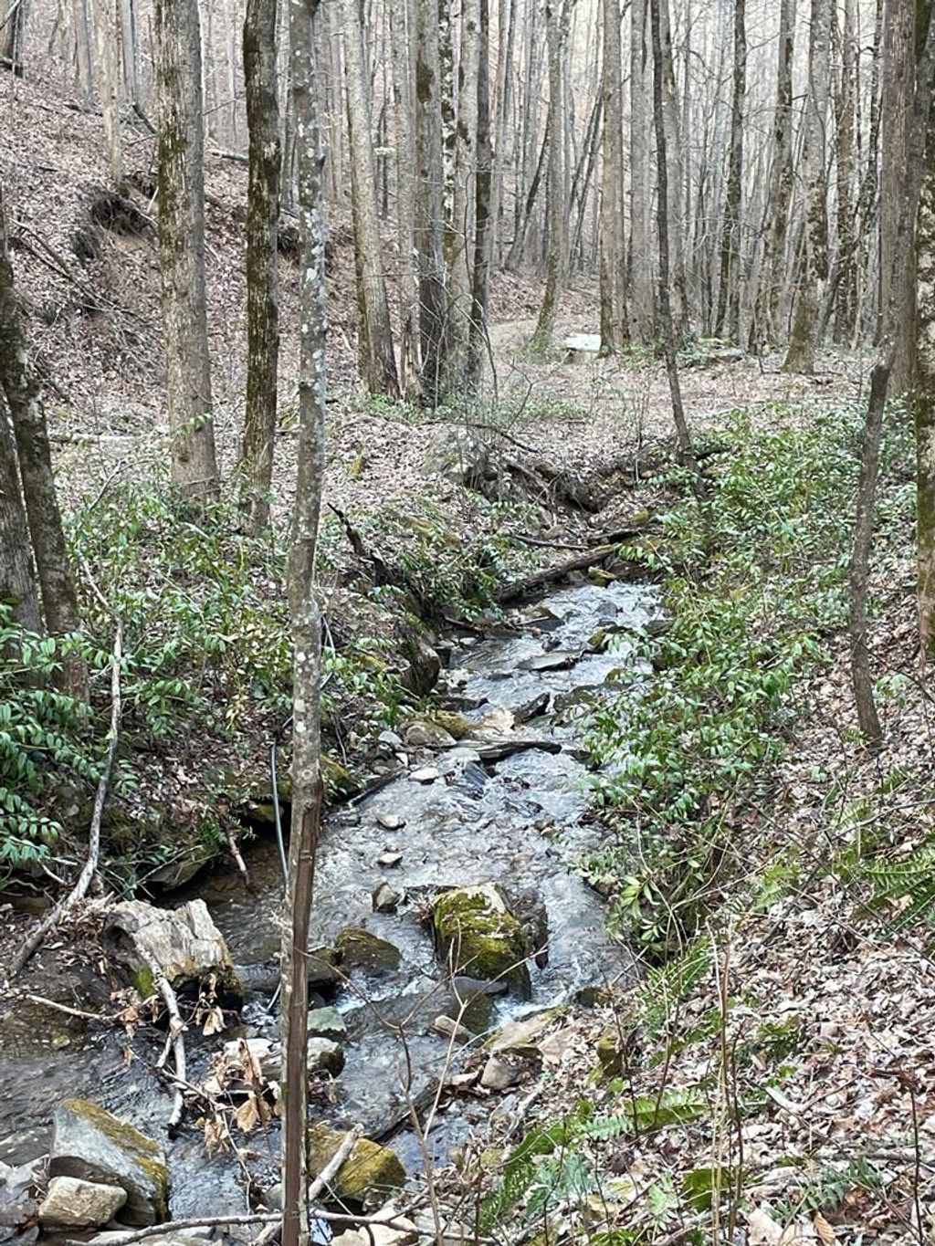 Photo of 0 White Oaks Road, Bryson City, NC 28713 (MLS # 26040457)