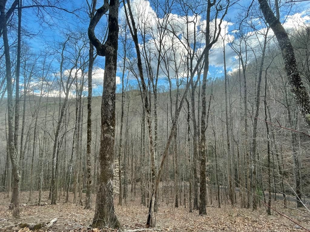 Photo of 0 White Oaks Road, Bryson City, NC 28713 (MLS # 26040457)