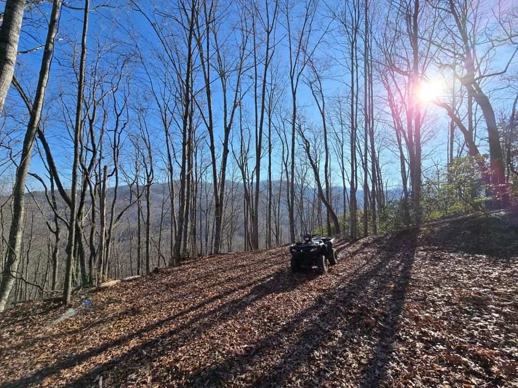 Photo of 3192 Pumpkintown Rd, Sylva, NC 28779 (MLS # 26042676)