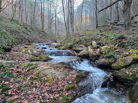 Photo of 3192 Pumpkintown Rd, Sylva, NC 28779 (MLS # 26042676)