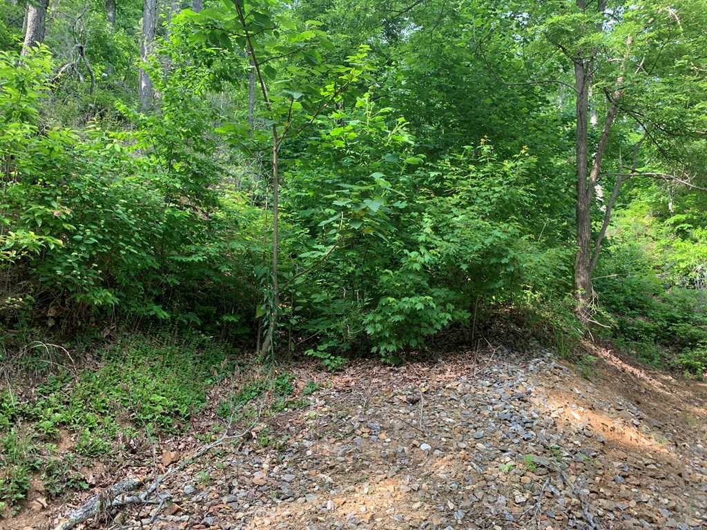 Sylva, North Carolina 28779, United States, ,Land,Pending,74763