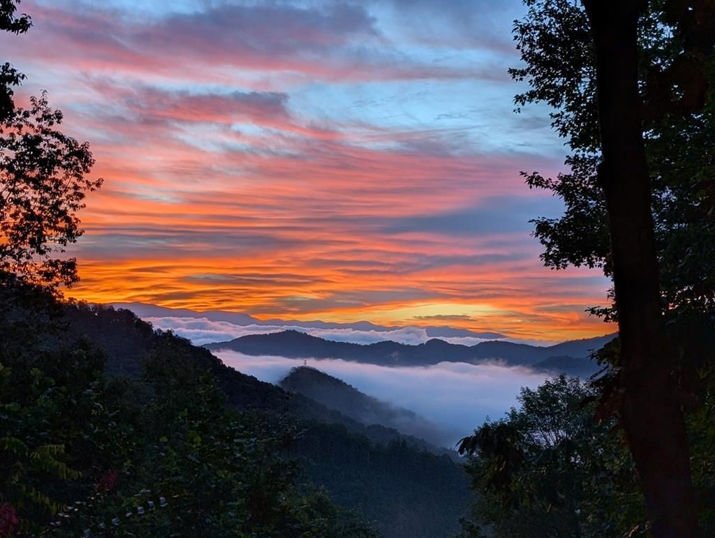 Photo of 117 Blustery Ridge, Sylva, NC 28779 (MLS # 26042018)