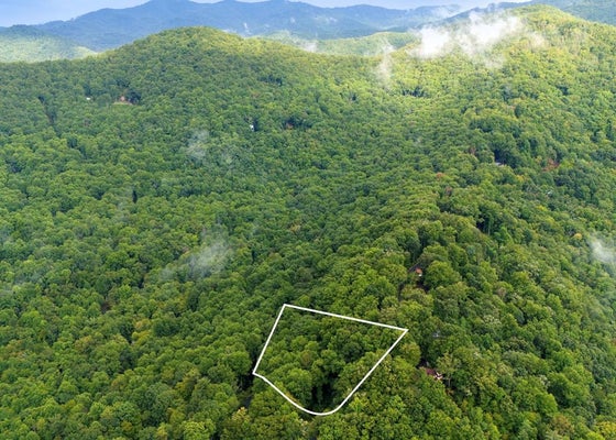 226 YOUNG COVE RD, FRANKLIN, NC 28734 - Image b3df15fae893fc607a06ae4d9a49b198/4036694867