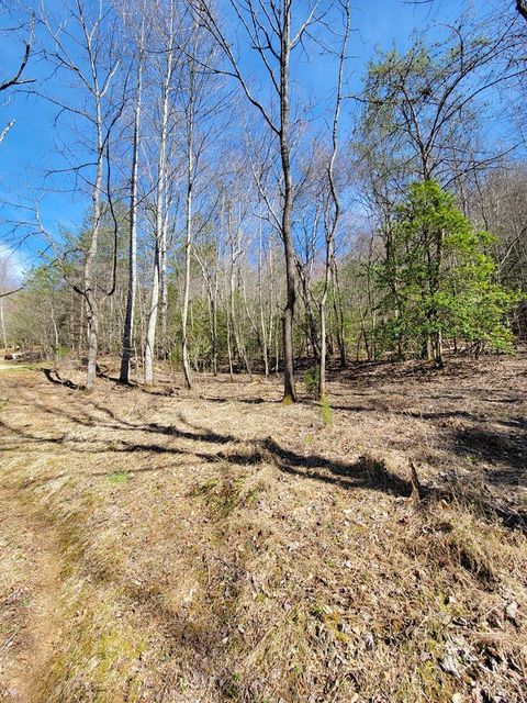 Photo of 00 Watson Cove Rd, Franklin, NC 28734 (MLS # 26038030)