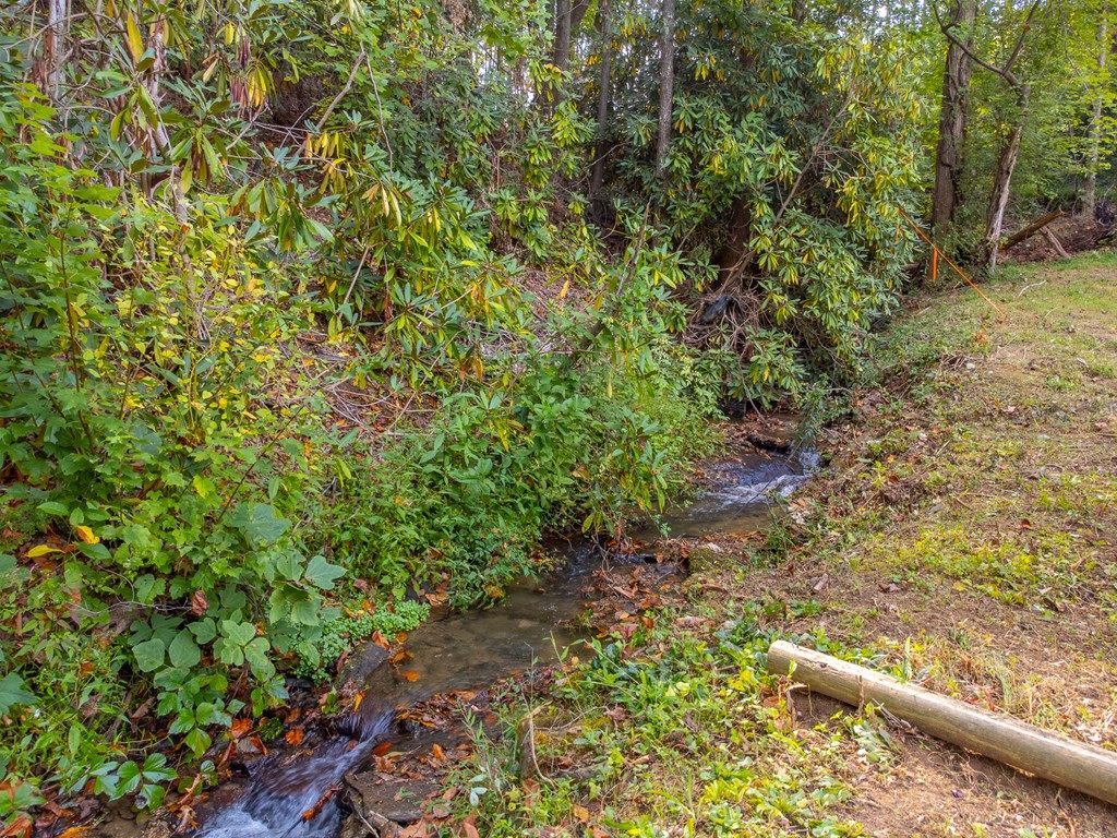 Photo of 24 Jenkins Branch Lane, Bryson City, NC 28713 (MLS # 26042274)