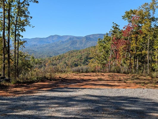 1859 LAKEY CREEK ROAD, FRANKLIN, NC 28734 - Image b4d121c2bb53524ca89f3e275483d0ce/2282973166