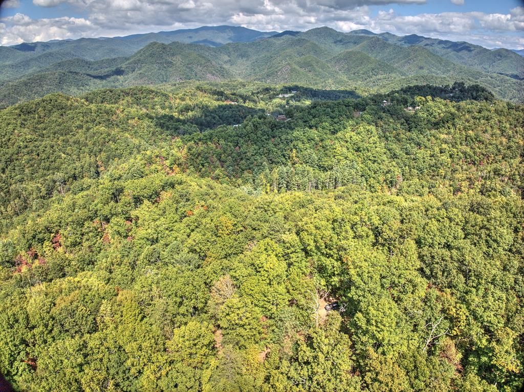 Photo of 0 Laurel Branch, Bryson City, NC 28713 (MLS # 26037967)
