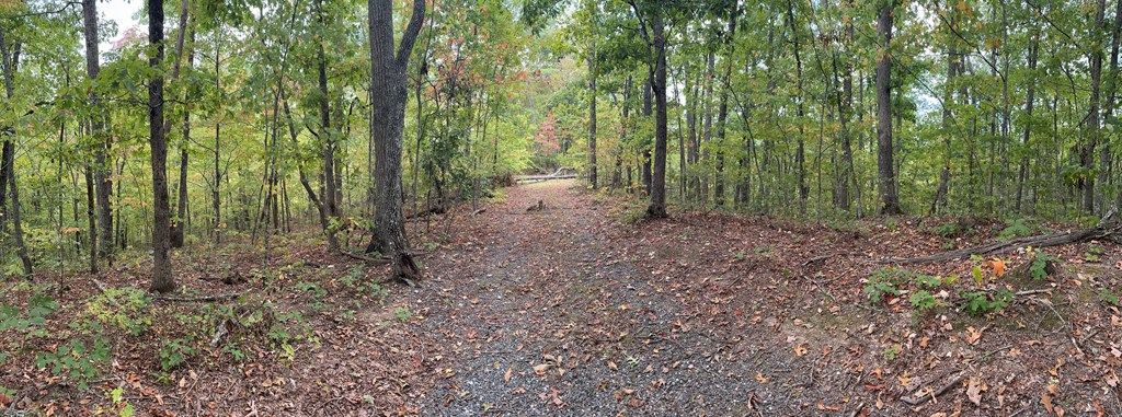 Photo of 0 Laurel Branch, Bryson City, NC 28713 (MLS # 26037967)