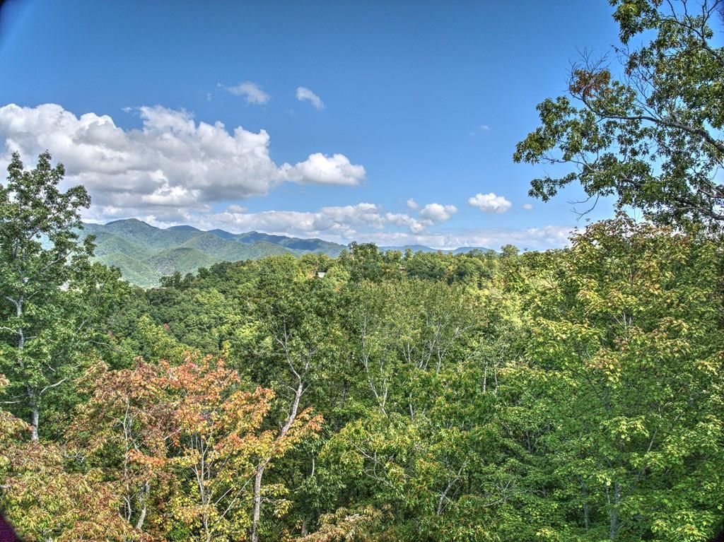 Photo of 0 Laurel Branch, Bryson City, NC 28713 (MLS # 26037967)