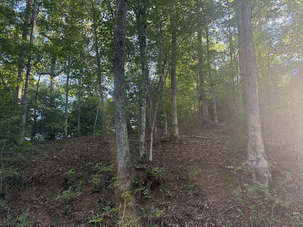 Photo of 0 Canterbury Road, Cullowhee, NC 28723 (MLS # 26048306)