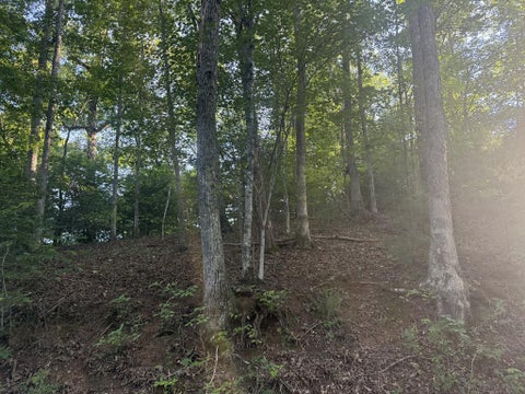 Photo of 0 Canterbury Road, Cullowhee, NC 28723 (MLS # 26048306)